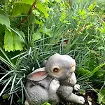 полярис Polyaris Penzion