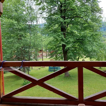 полярис Polyaris