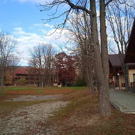 полярис Polyaris