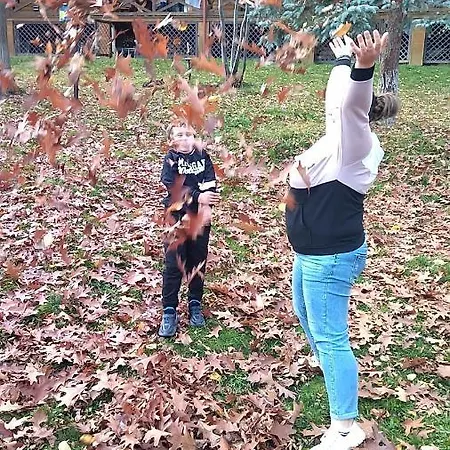 Kro полярис Polyaris