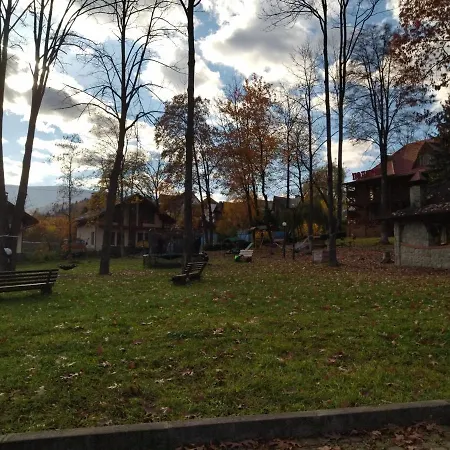 полярис Polyaris Yaremche