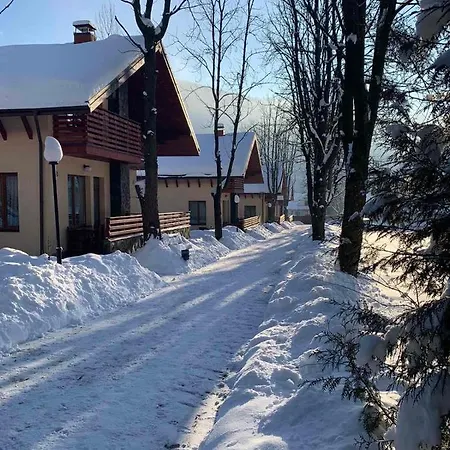 полярис Polyaris