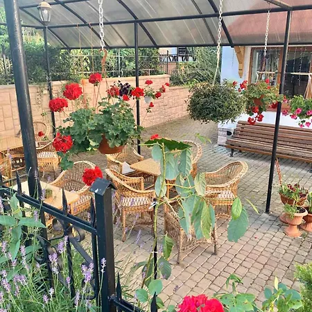 полярис Polyaris * Yaremche