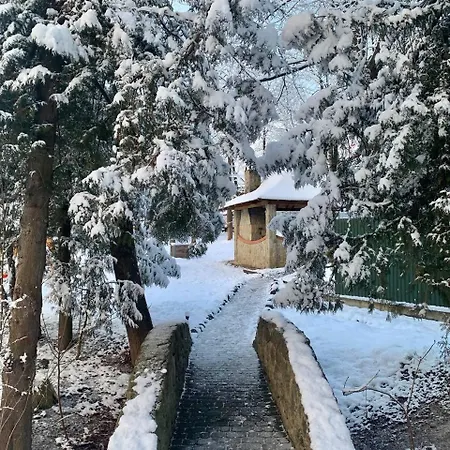 Inn полярис Polyaris *