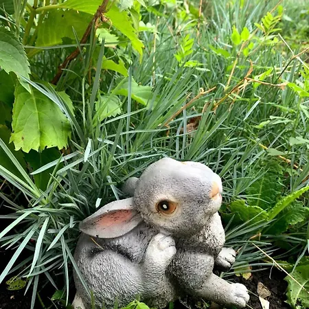 полярис Polyaris Kro