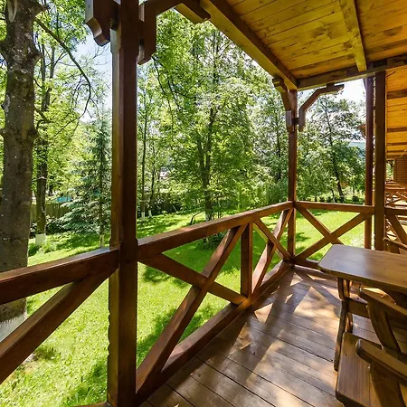 полярис Polyaris